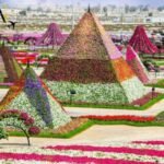 السياحة في دبي